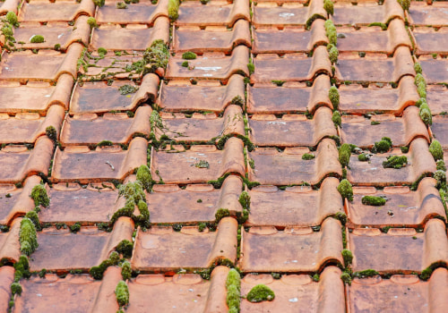 Elevate Your Home with Granite Countertops and New Roofing