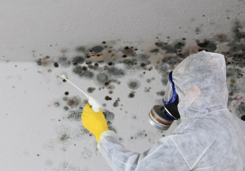 The Unseen Threat: How Mold Removal Service Prevents Damage To Granite Countertops In Murray